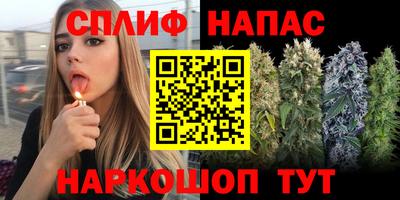 ГАЛЛЮЦИНОГЕННЫЕ ГРИБЫ Славянск-на-Кубани