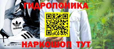стаф Славгород