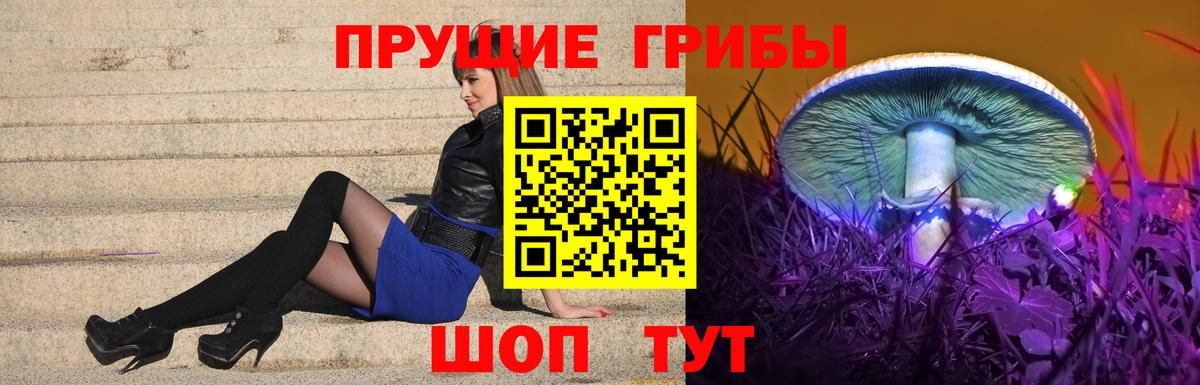 Острогожск  Галлюциногенные грибы Magic Shrooms  Вход с VPN  Псилоцибиновые грибы мицелий 