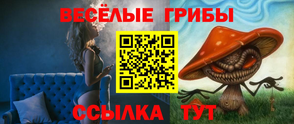 Псилоцибиновые грибы мухоморы Острогожск